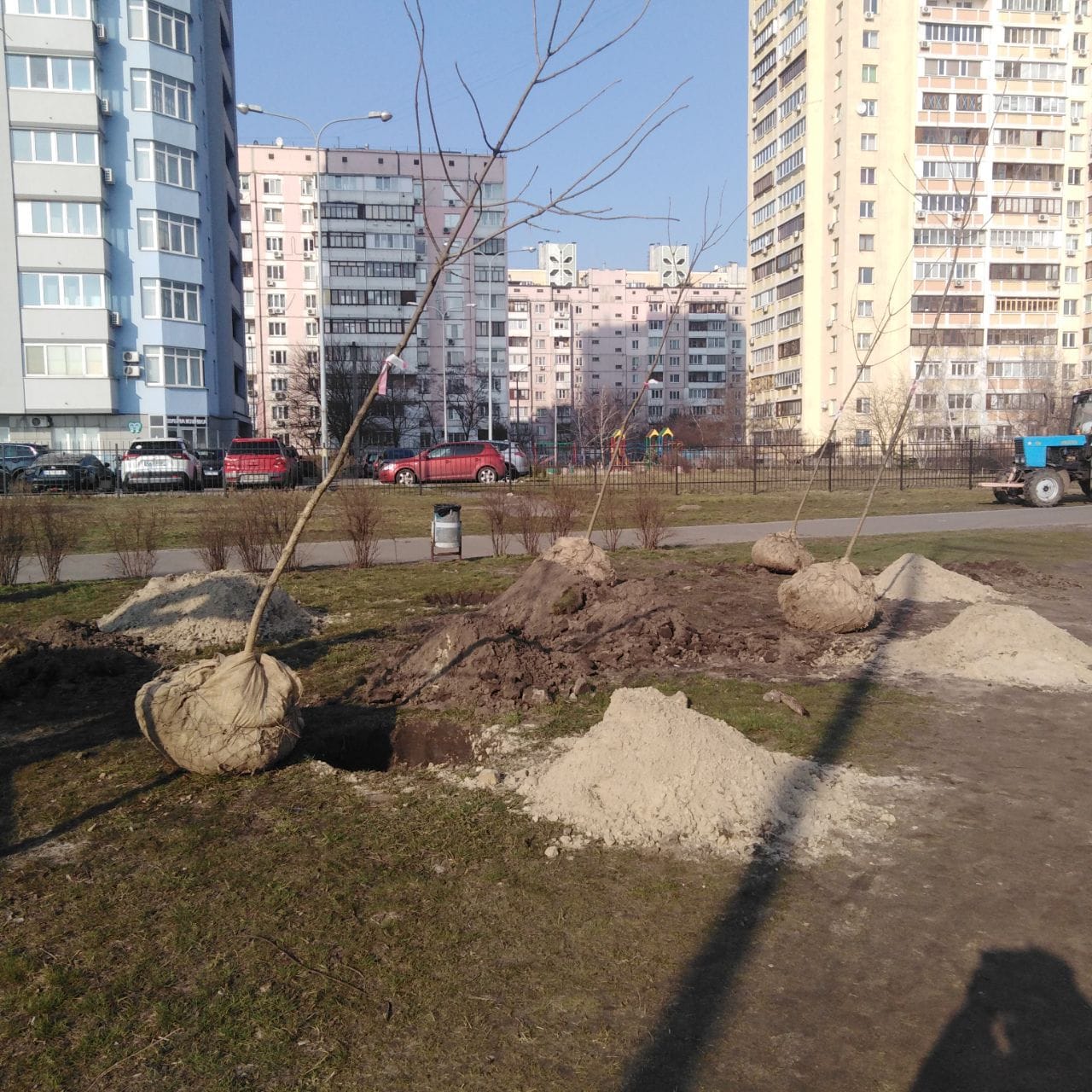 Озеленение района. Фото: КП УЗС Дарницкого района