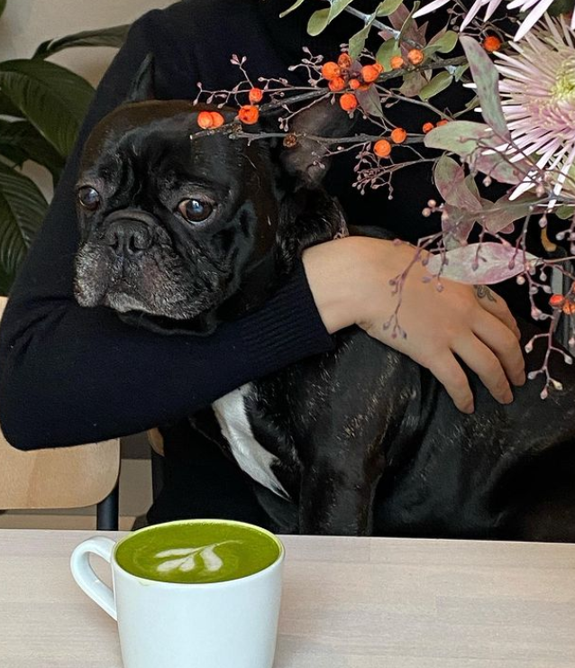 Кофейня "Mates"