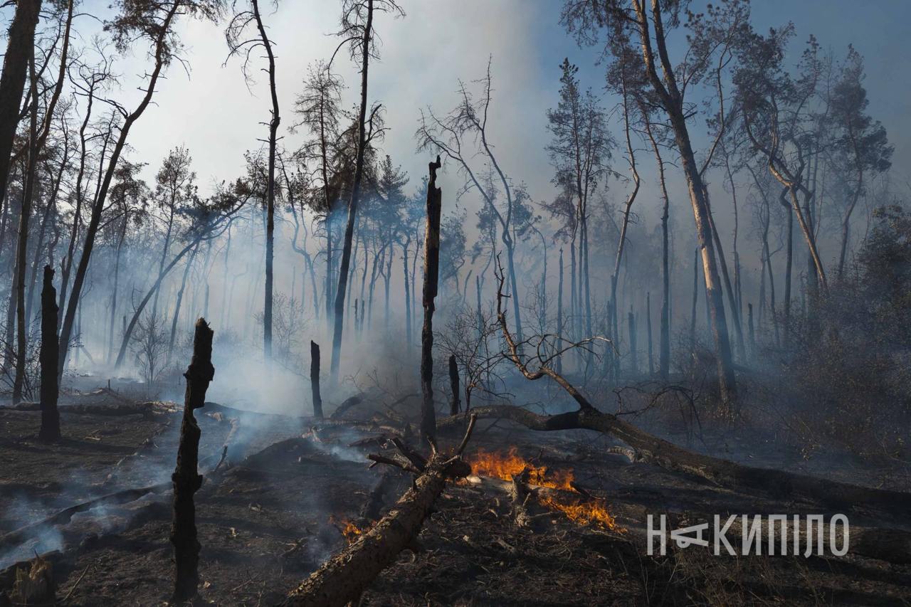 У районі Журавлівського гідропарку горить ліс, транспорт пускають у об'їзд.