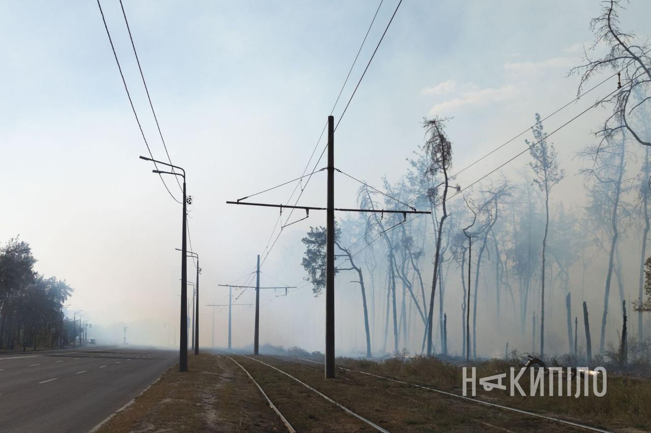 У районі Журавлівського гідропарку горить ліс, транспорт пускають у об'їзд.