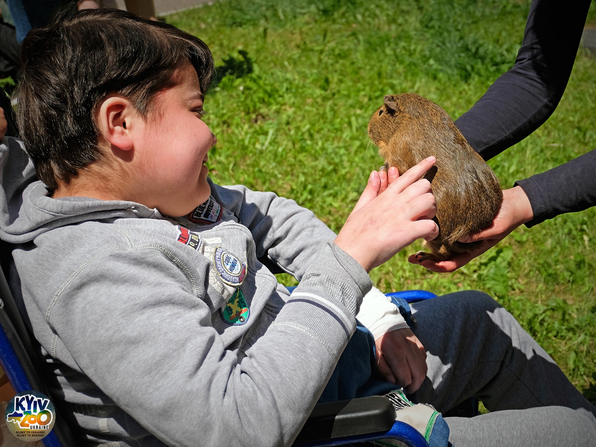 Звірята з Київського зоопарку завітали до маленьких пацієнтів "Охмадиту" -