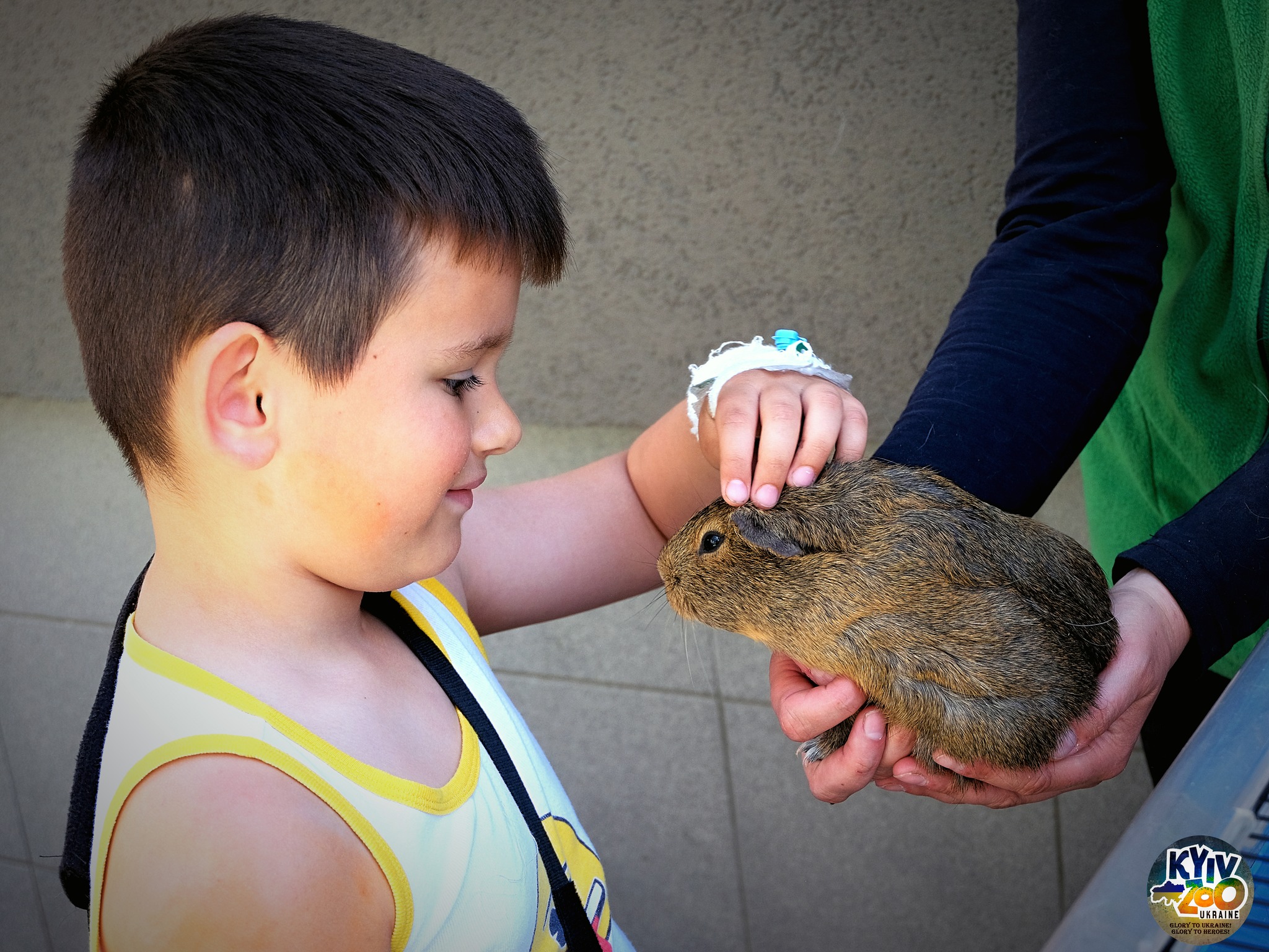 Звірята з Київського зоопарку завітали до маленьких пацієнтів "Охмадиту" -