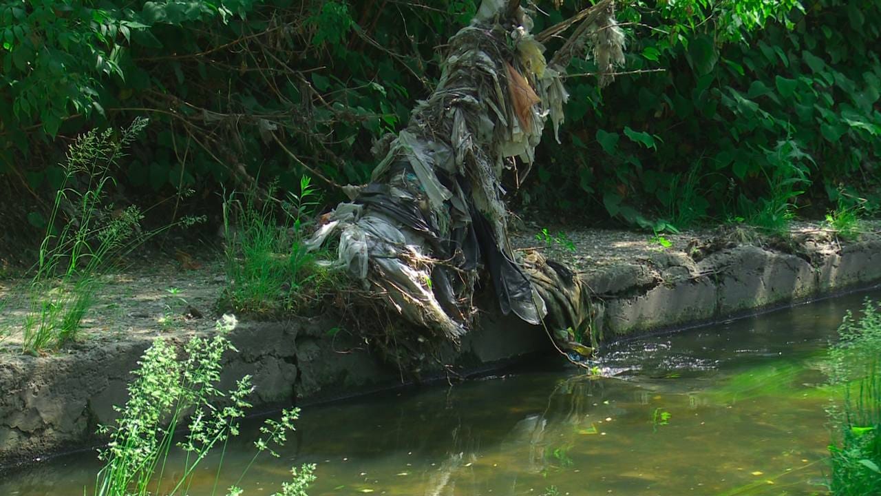 В Киеве очистили от мусора реки Почайну и Лыбидь -