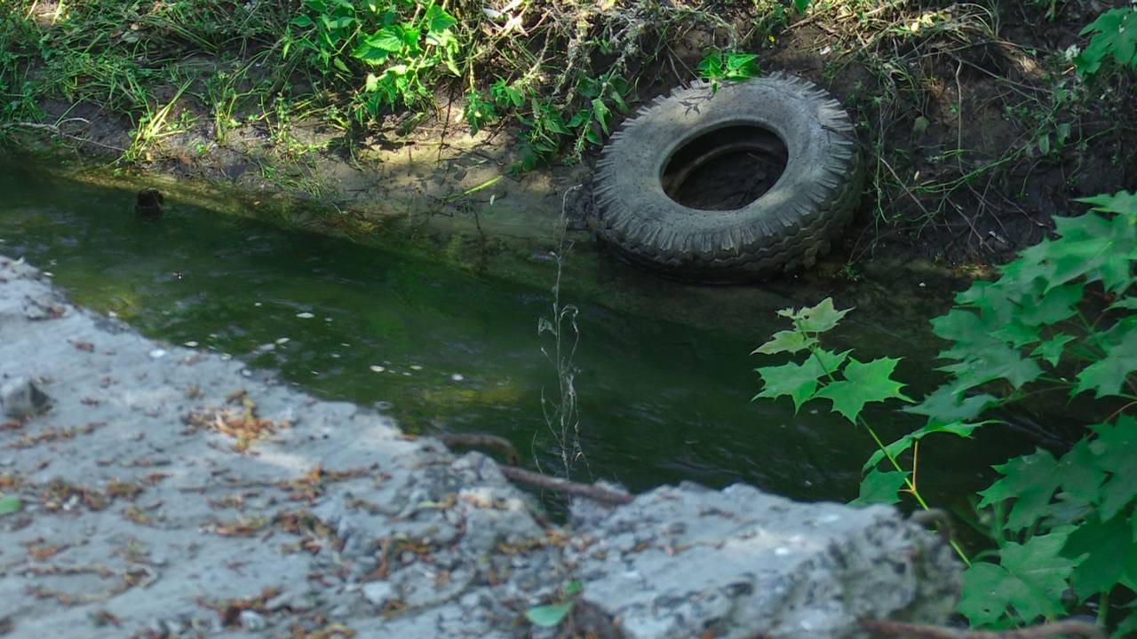 В Киеве очистили от мусора реки Почайну и Лыбидь -