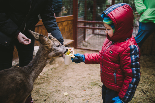 Найбільша ковзанка й Резиденція Санти, масштабні світлові інсталяції та фотозони: де шукати дива на "Зимовій країні" на ВДНГ фото 10 9
