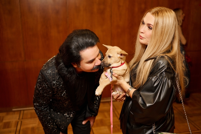 Собаки з притулку в центрі уваги: актори фільму "Песики" на червоній доріжці MUZVAR AWARDS 2024