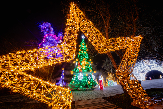 Найбільша ковзанка й Резиденція Санти, масштабні світлові інсталяції та фотозони: де шукати дива на "Зимовій країні" на ВДНГ фото 5 4