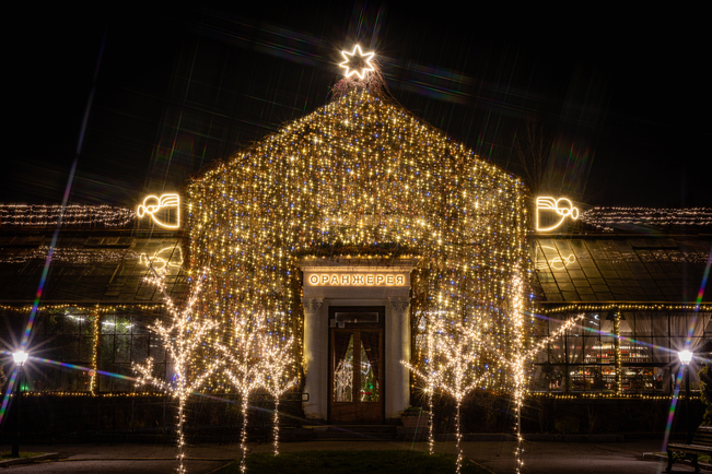 Найбільша ковзанка й Резиденція Санти, масштабні світлові інсталяції та фотозони: де шукати дива на "Зимовій країні" на ВДНГ фото 7 6