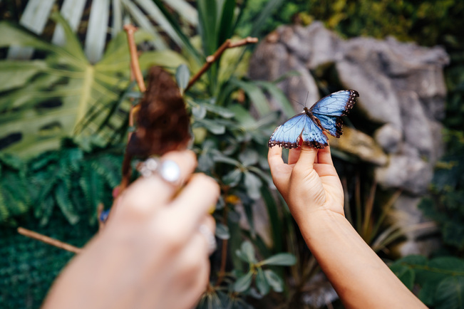 Найбільша ковзанка й Резиденція Санти, масштабні світлові інсталяції та фотозони: де шукати дива на "Зимовій країні" на ВДНГ фото 11 10