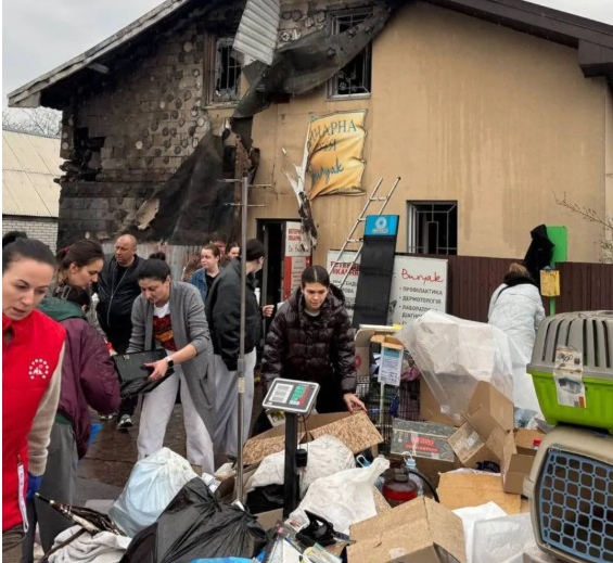 Удар по ветклініці в Чабанах: після атаки БпЛА не вижила жодна тварина фото 2 1