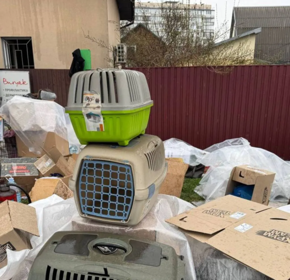 Удар по ветклініці в Чабанах: після атаки БпЛА не вижила жодна тварина фото 1