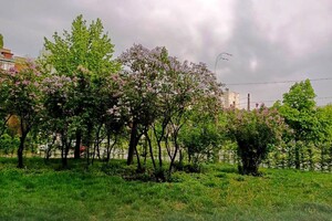 Цвет настроения - сиреневый: что ждет киевлян после открытия парков фото 9