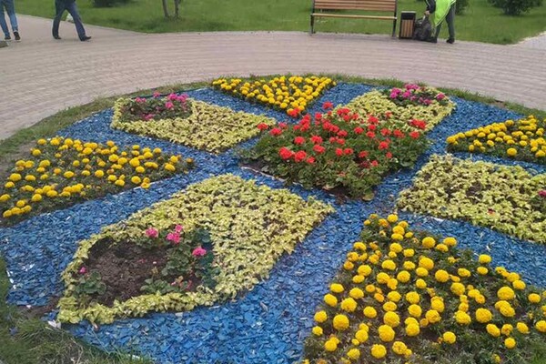 Руки чешутся: киевские парки массово атаковали вандалы фото 5