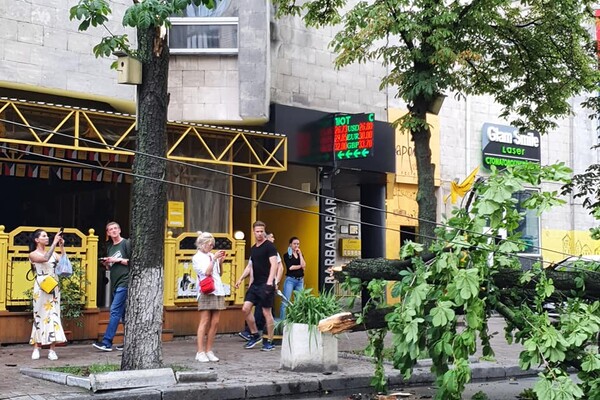 Фотофакт: в Киеве из-за непогоды рухнули деревья фото 4