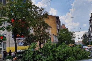 Фотофакт: в Киеве из-за непогоды рухнули деревья фото 5