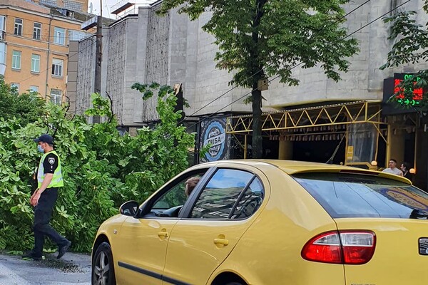 Фотофакт: в Киеве из-за непогоды рухнули деревья фото 6