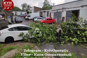 Фотофакт: в Киеве из-за непогоды рухнули деревья фото 10