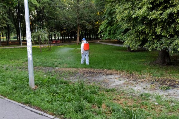 Гуляй без опаски: в Святошинском районе обработали парки от клещей фото