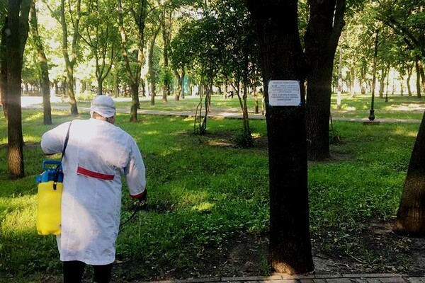 Гуляй без опаски: в Святошинском районе обработали парки от клещей фото 1