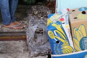 Рыба на полу с привкусом фумигатора: в центе Запорожья разогнали стихийщиков фото