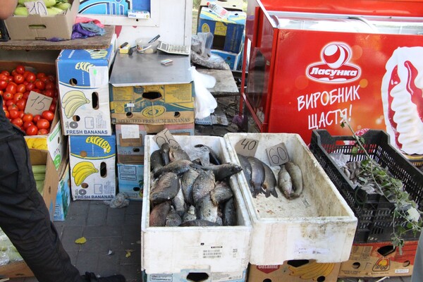 Рыба на полу с привкусом фумигатора: в центе Запорожья разогнали стихийщиков фото 6