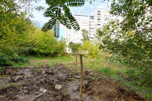 Вырубили деревья и обнесли забором: на Соколе уничтожают зеленую зону фото 5