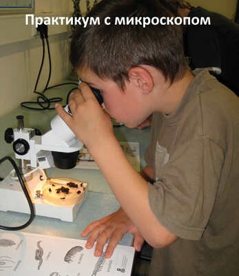 Мастер-класс с микроскопом: фото 4 Национальный университет биоресурсов и природопользования Украины