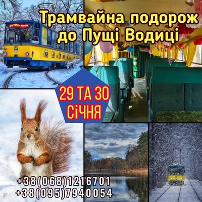 Екскурсія на трамвайчику до Пущи Водиці: фото 1 Киев трамвайный